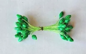 Green Flower Buds