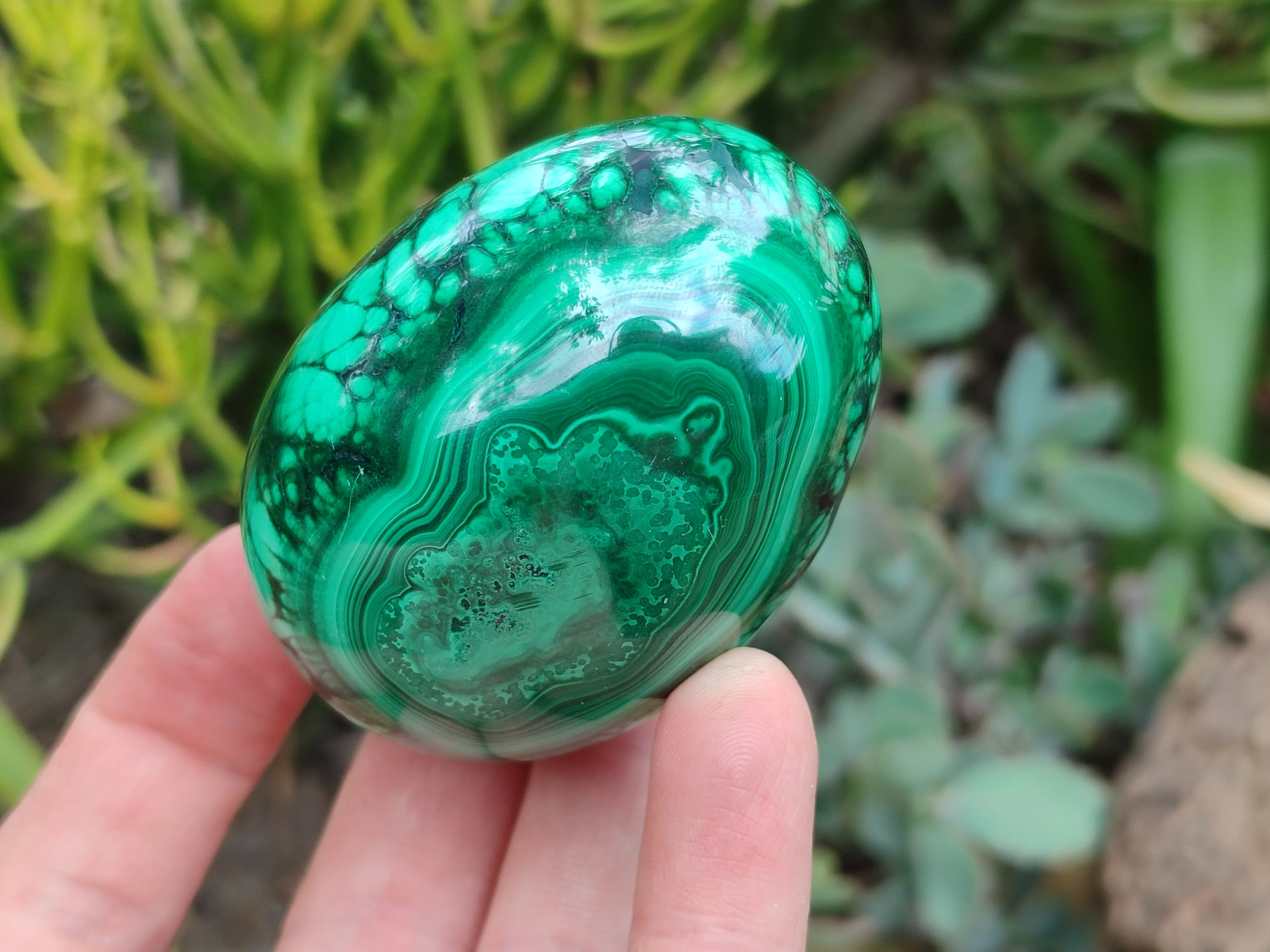 Polished Classic Large Solid Flower Banded Malachite Gemstone Eggs - Sold Per Item - From Congo