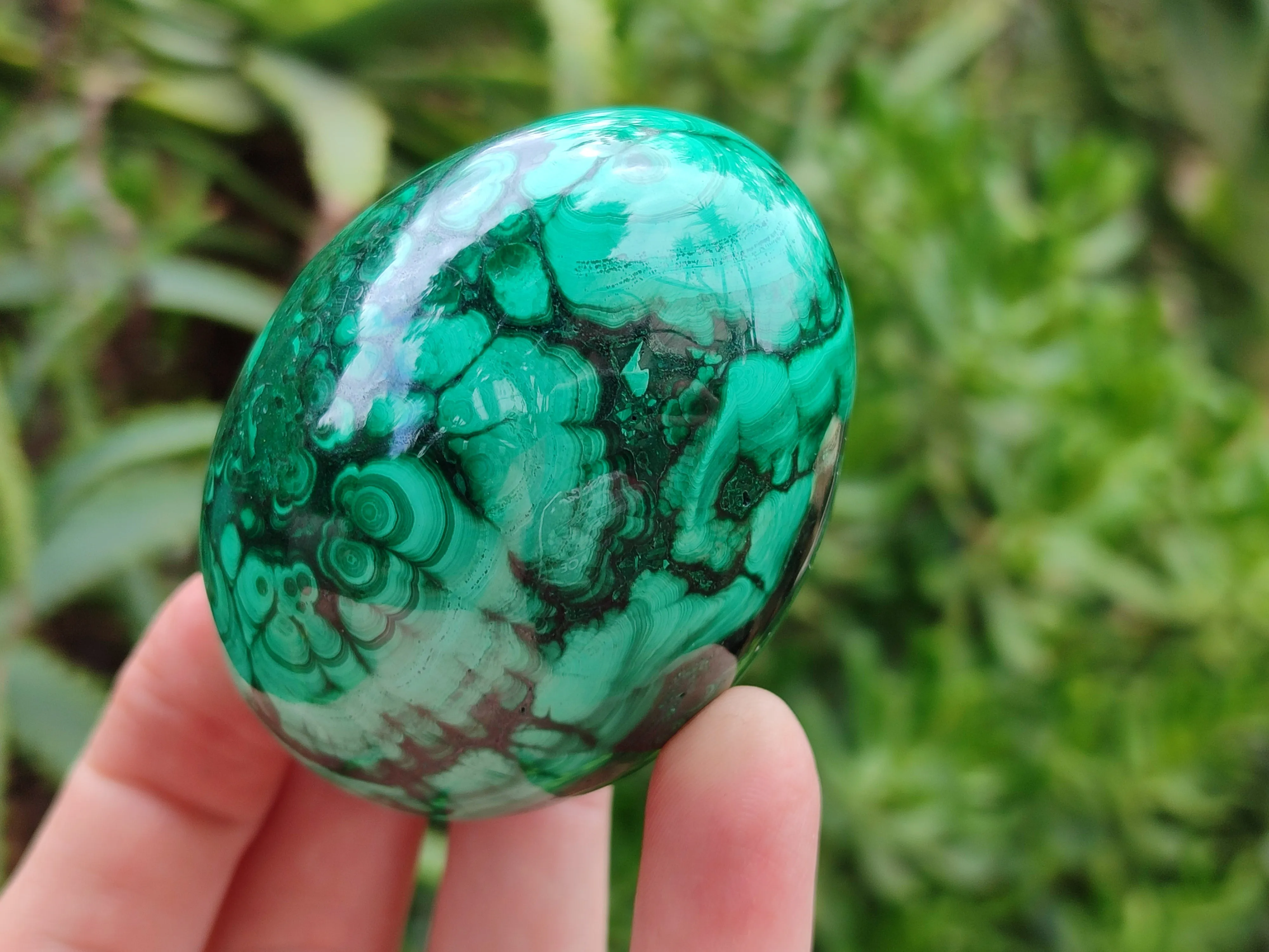 Polished Classic Large Solid Flower Banded Malachite Gemstone Eggs - Sold Per Item - From Congo