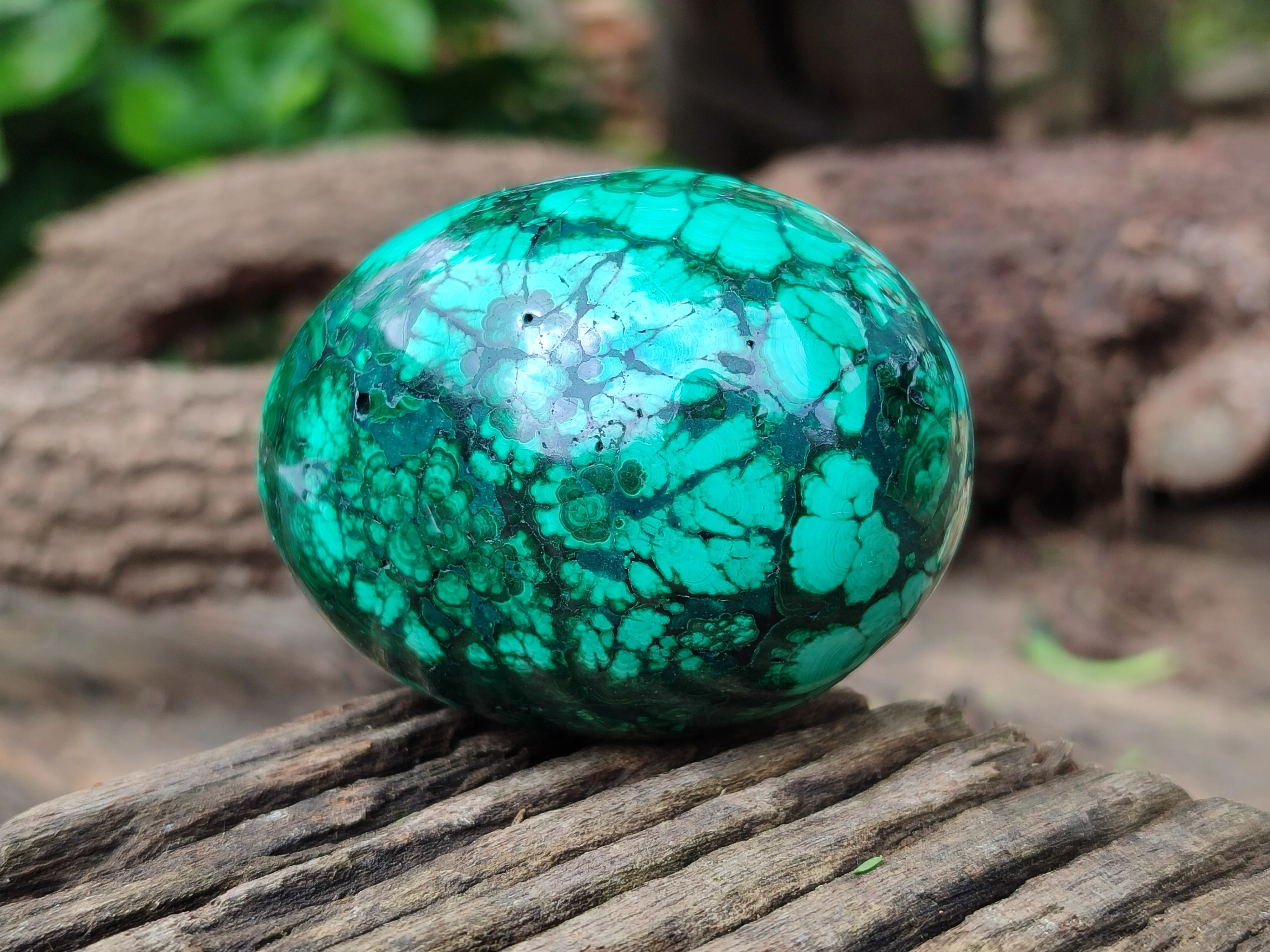 Polished Classic Large Solid Flower Banded Malachite Gemstone Eggs - Sold Per Item - From Congo