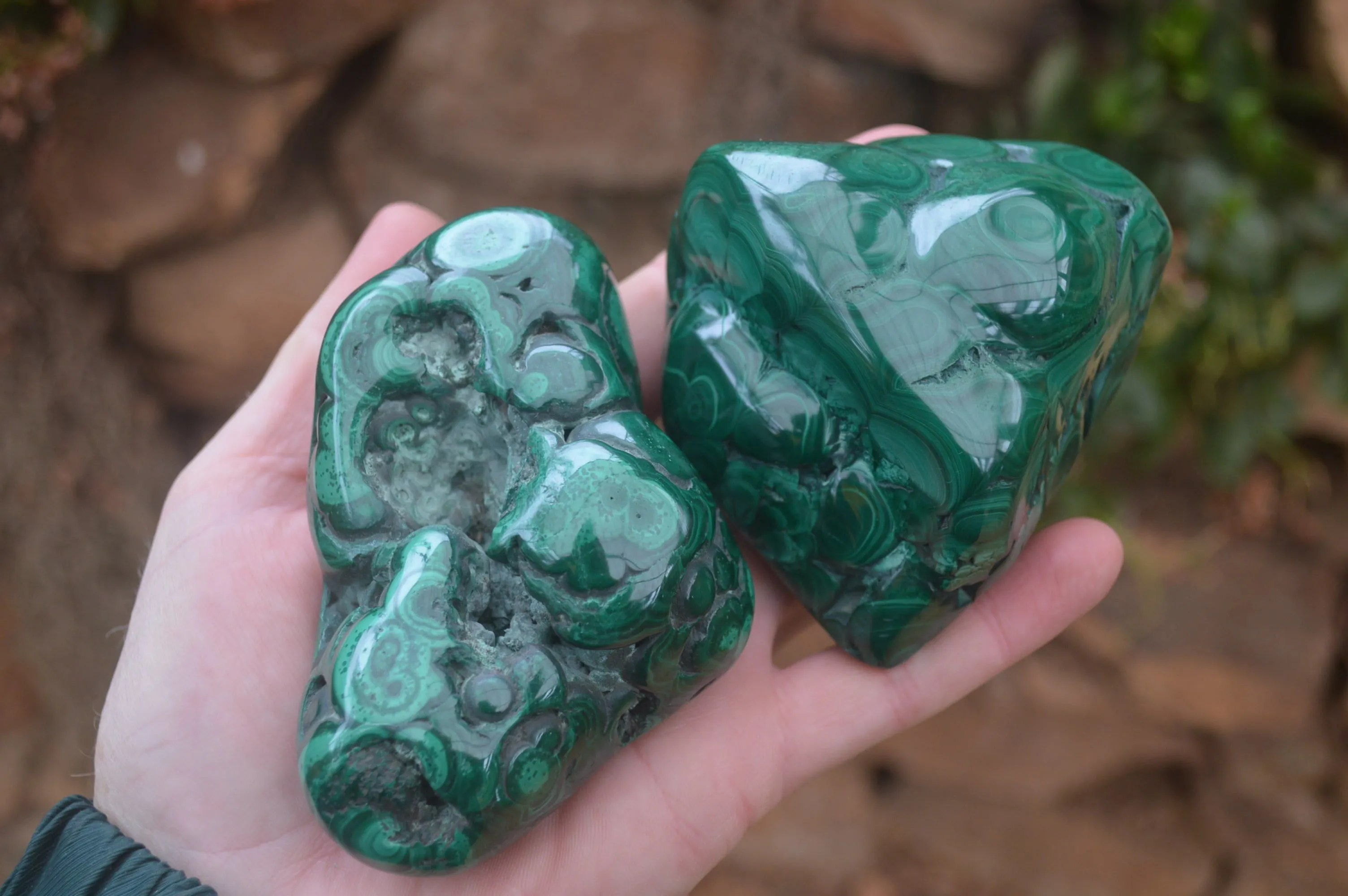 Polished Flower Banded Malachite Free Forms x 4 From Congo