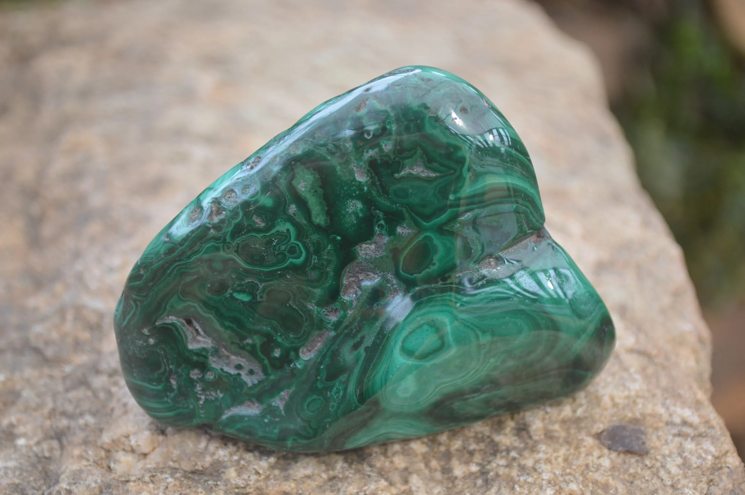 Polished Flower Banded Malachite Free Forms x 4 From Congo