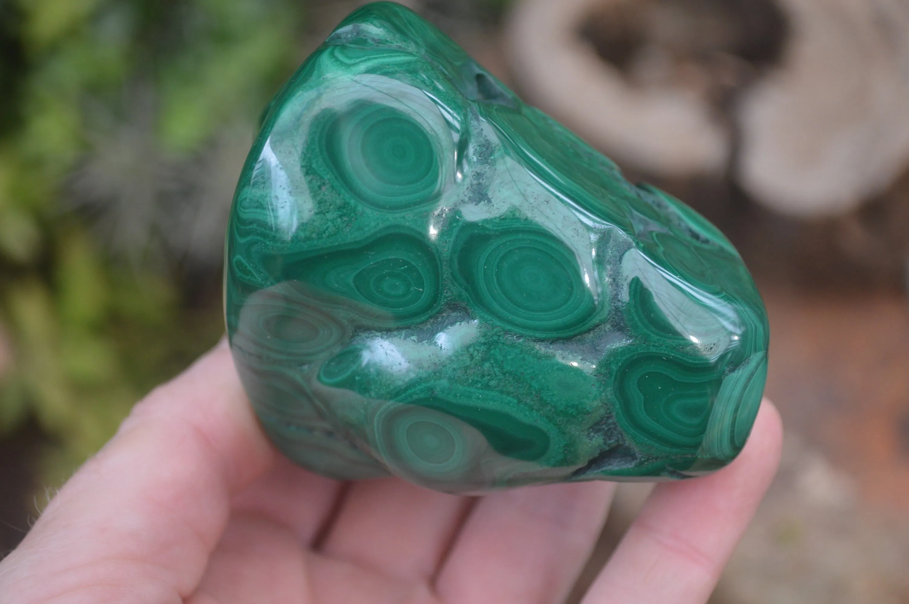 Polished Flower Banded Malachite Free Forms x 4 From Congo