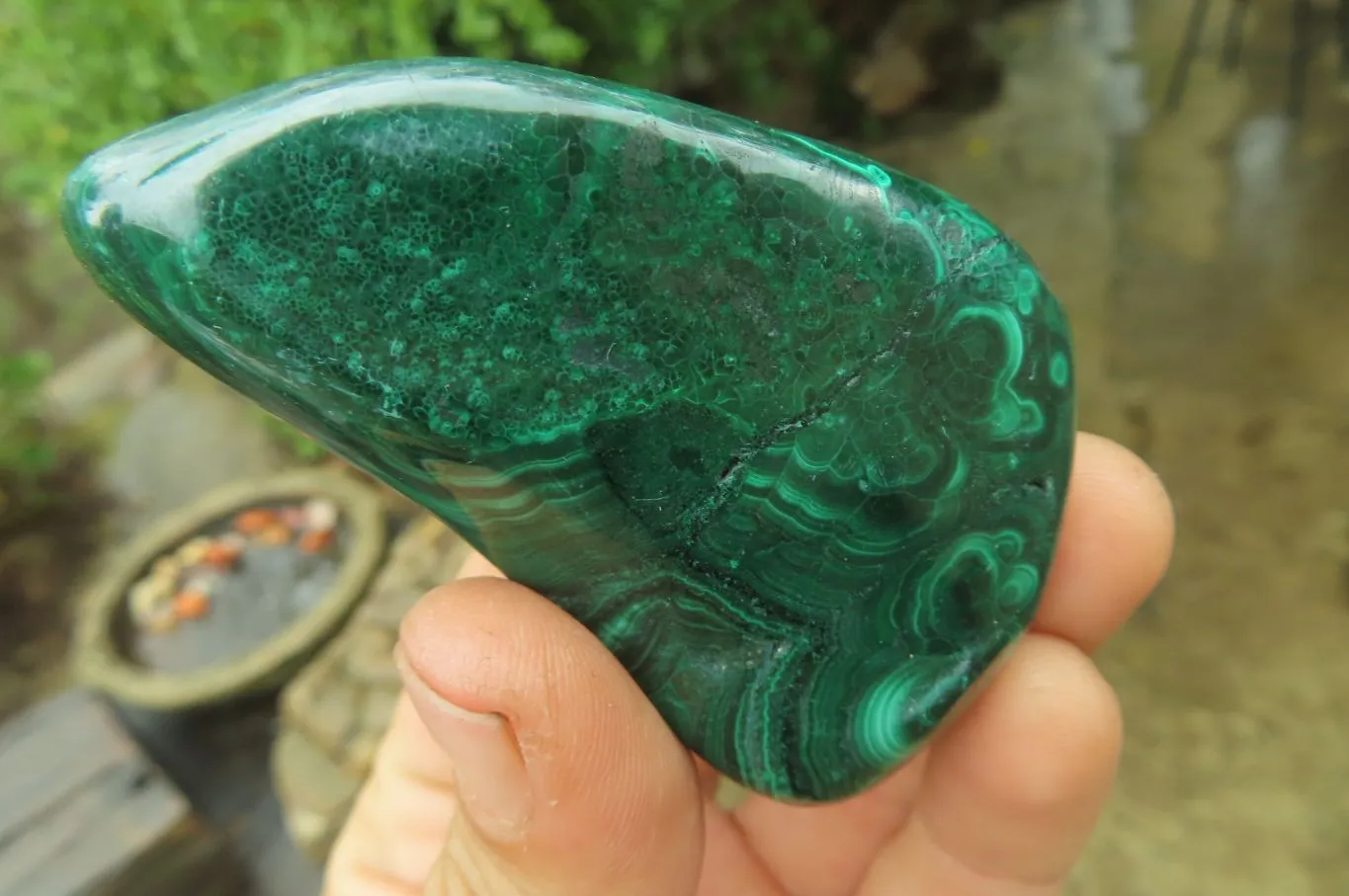 Polished Flower Banded Malachite Free Forms x 6 From Congo