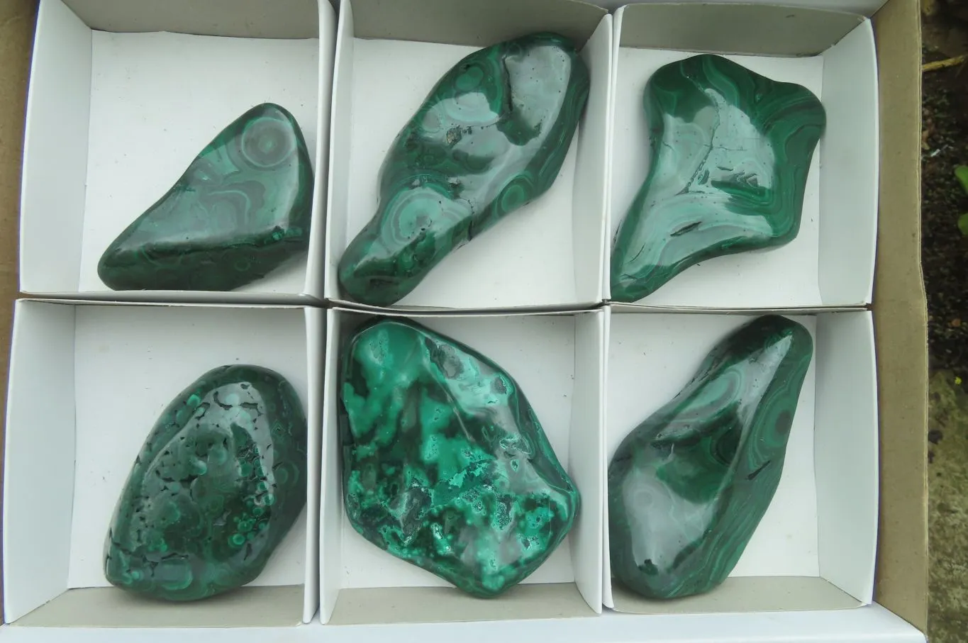 Polished Flower Banded Malachite Free Forms x 6 From Congo