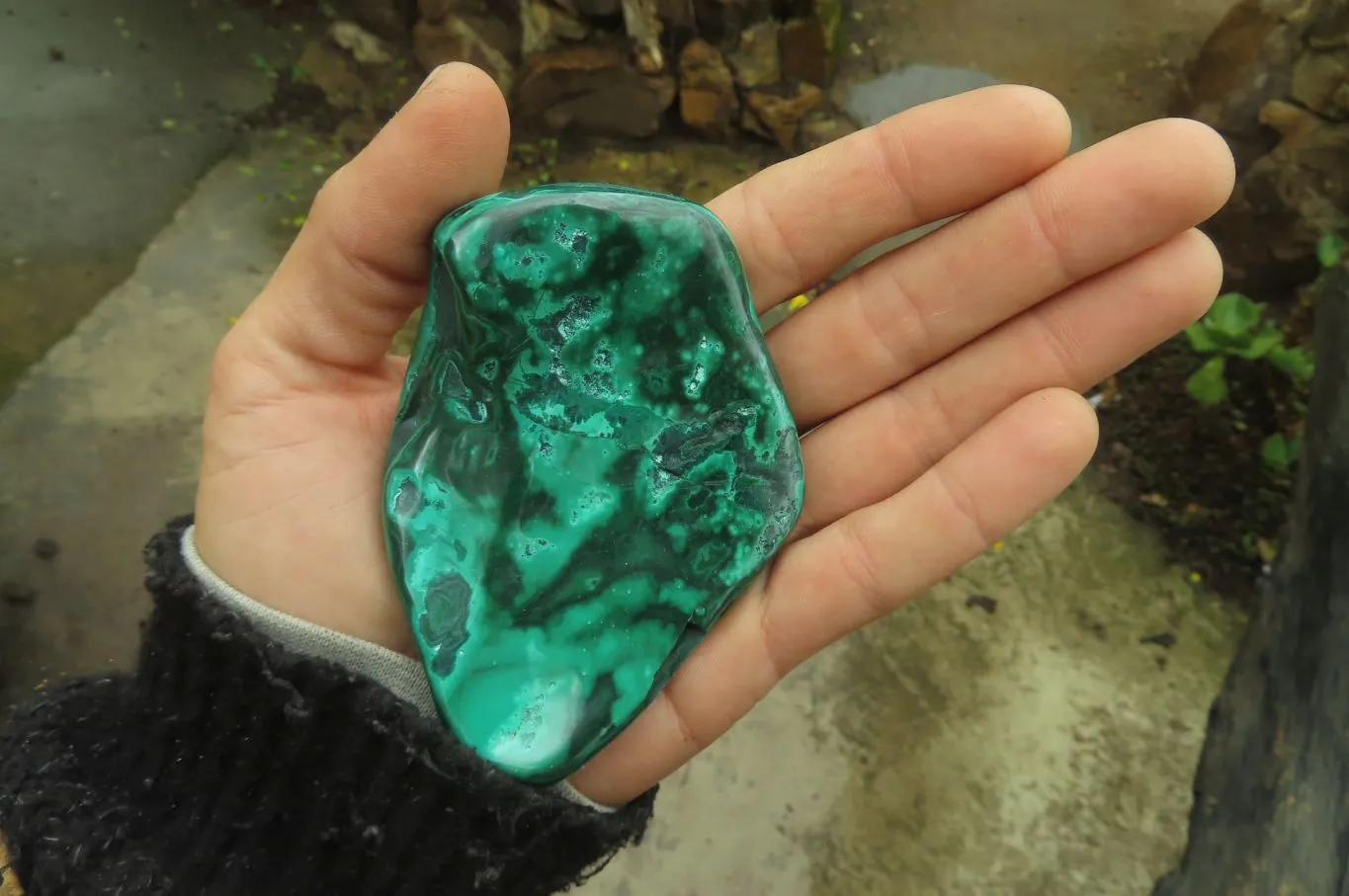 Polished Flower Banded Malachite Free Forms x 6 From Congo