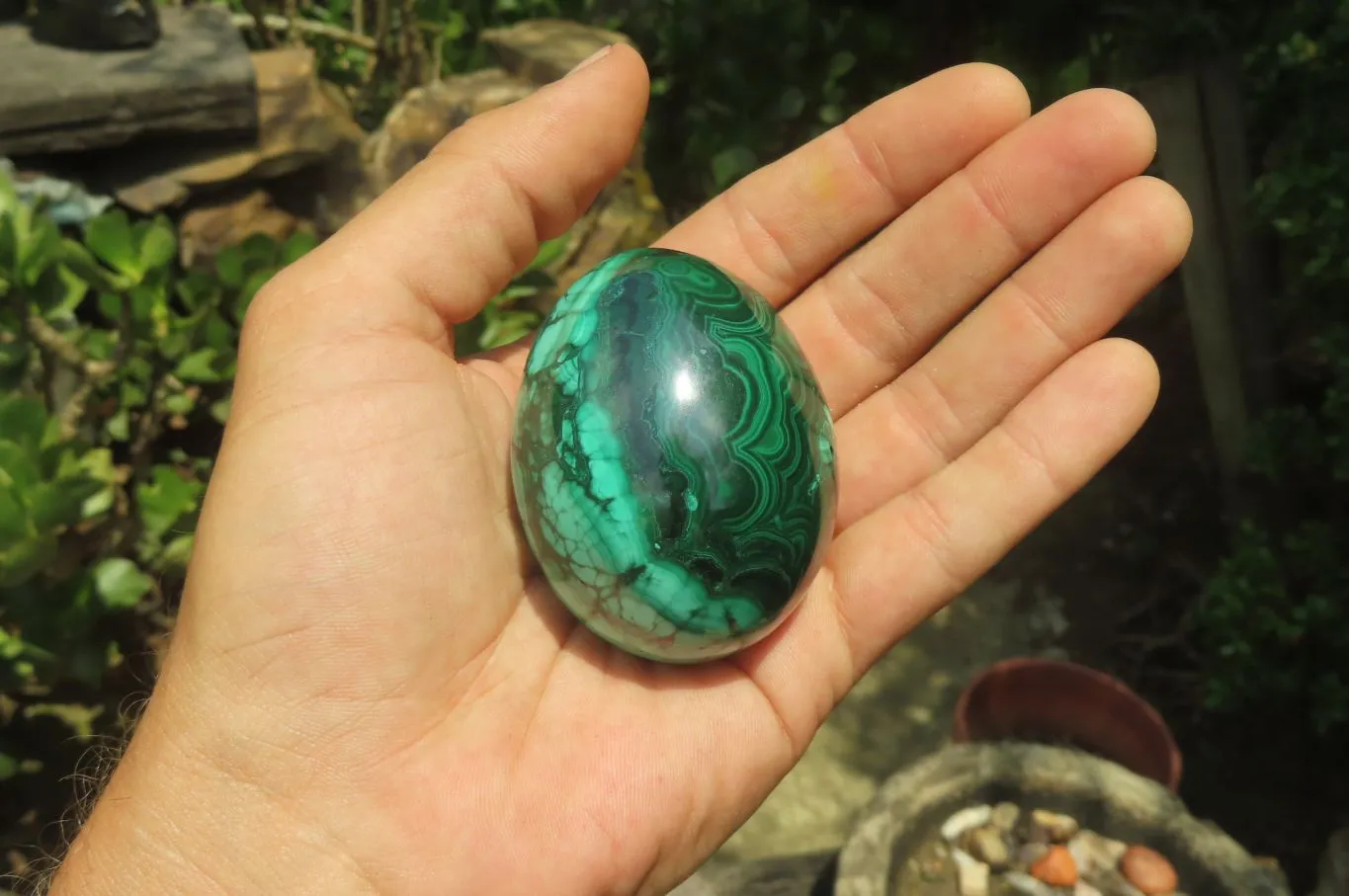 Polished Flower Banded Malachite Gemstone Eggs x 5 From Congo