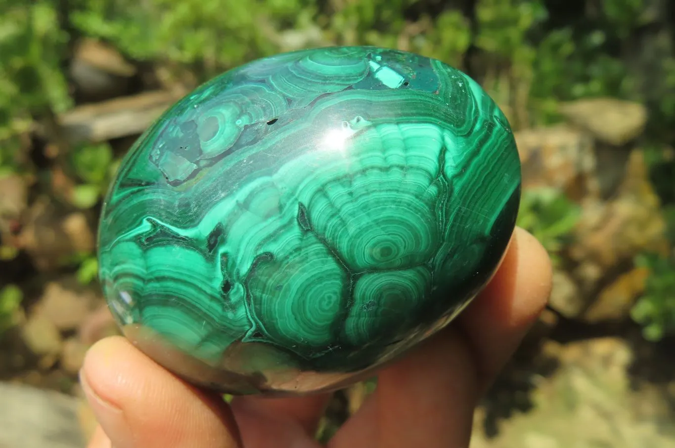 Polished Flower Banded Malachite Gemstone Eggs x 5 From Congo