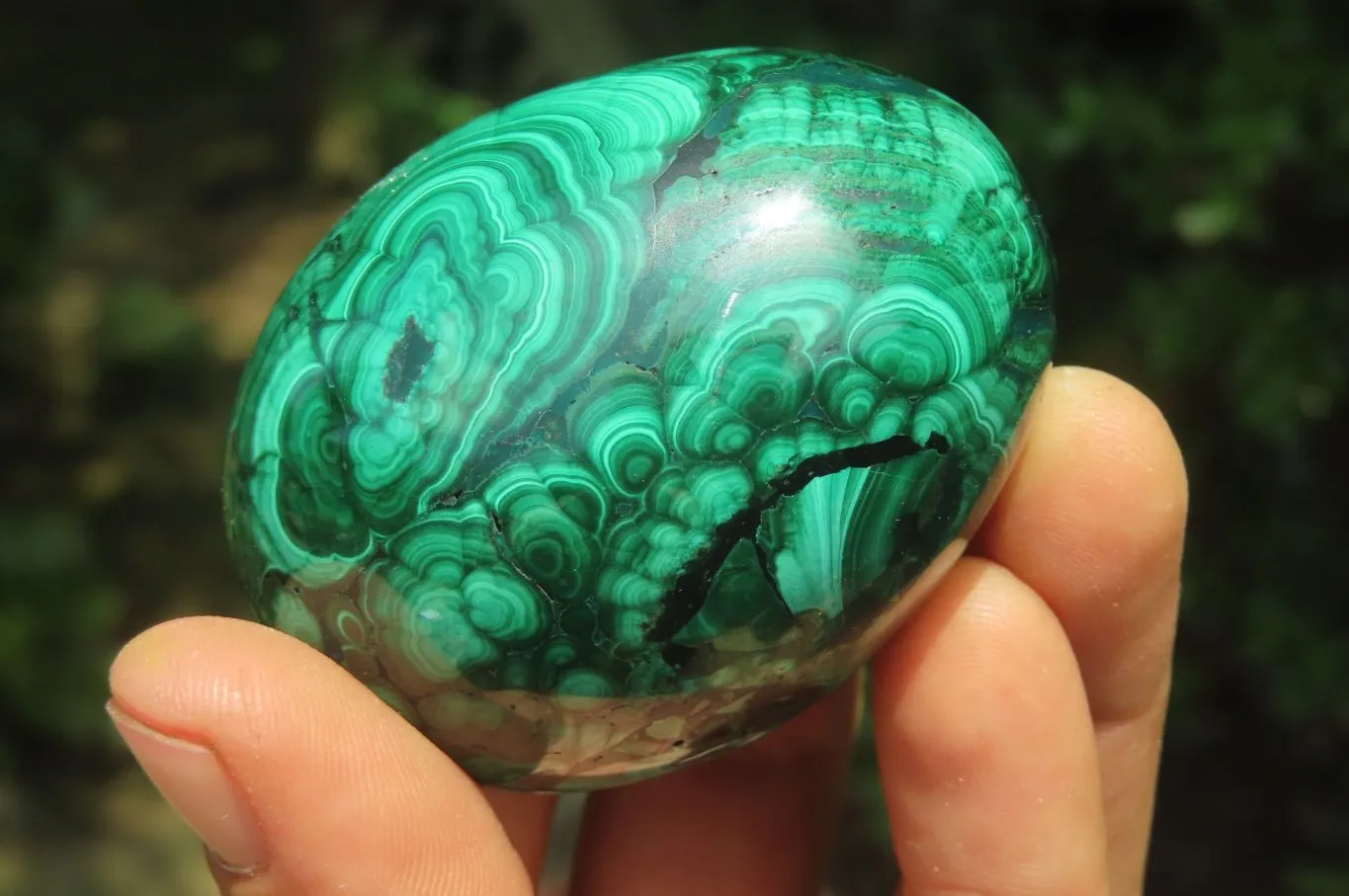 Polished Flower Banded Malachite Gemstone Eggs x 5 From Congo