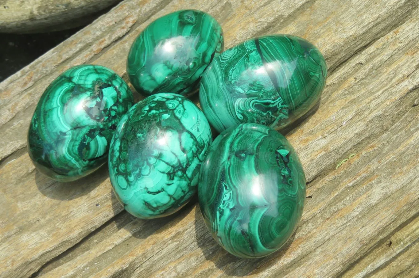 Polished Flower Banded Malachite Gemstone Eggs x 5 From Congo