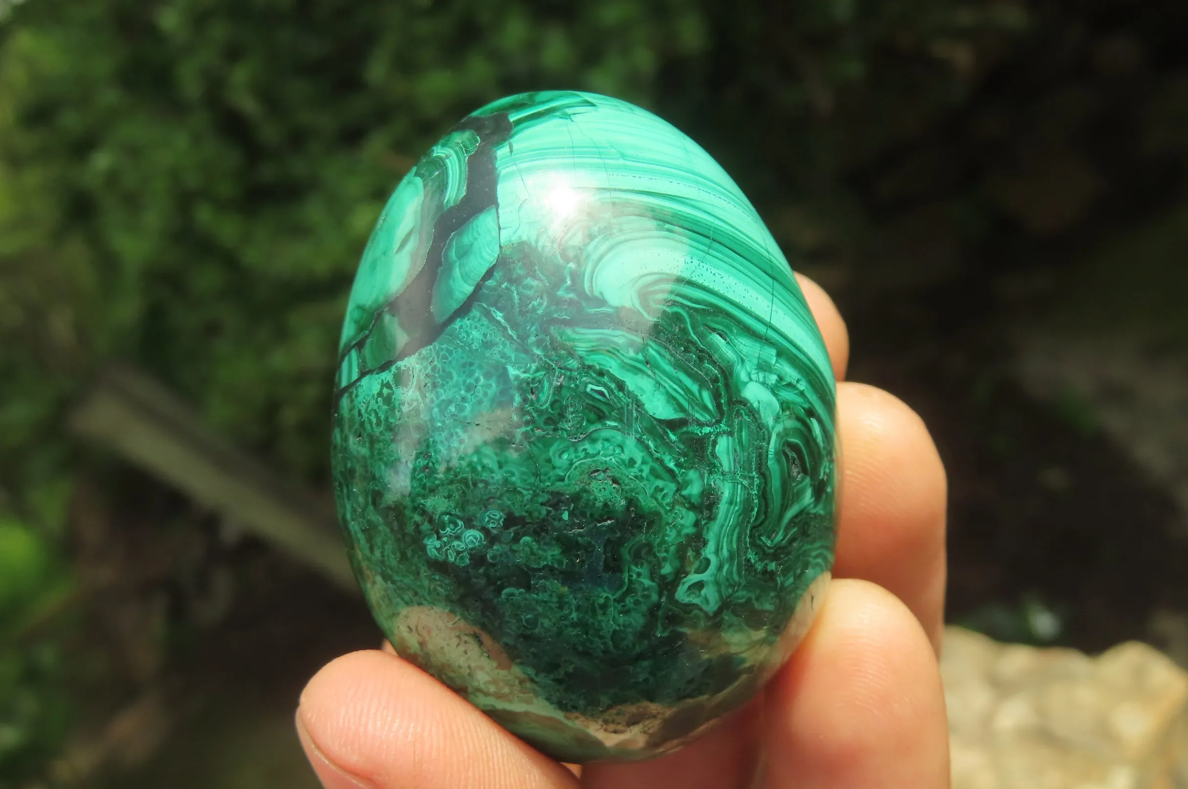 Polished Flower Banded Malachite Gemstone Eggs x 6 From Congo