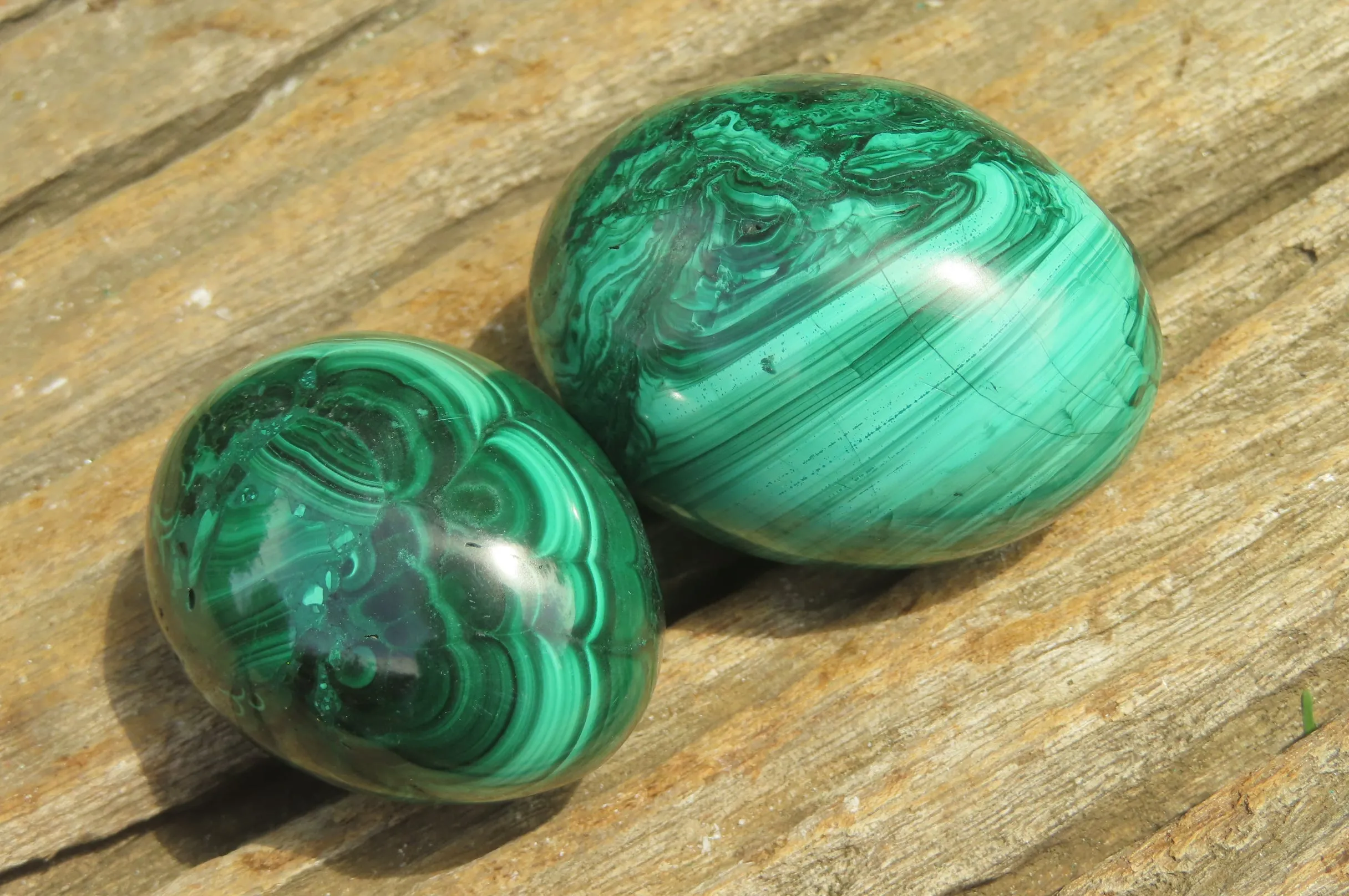 Polished Flower Banded Malachite Gemstone Eggs x 6 From Congo