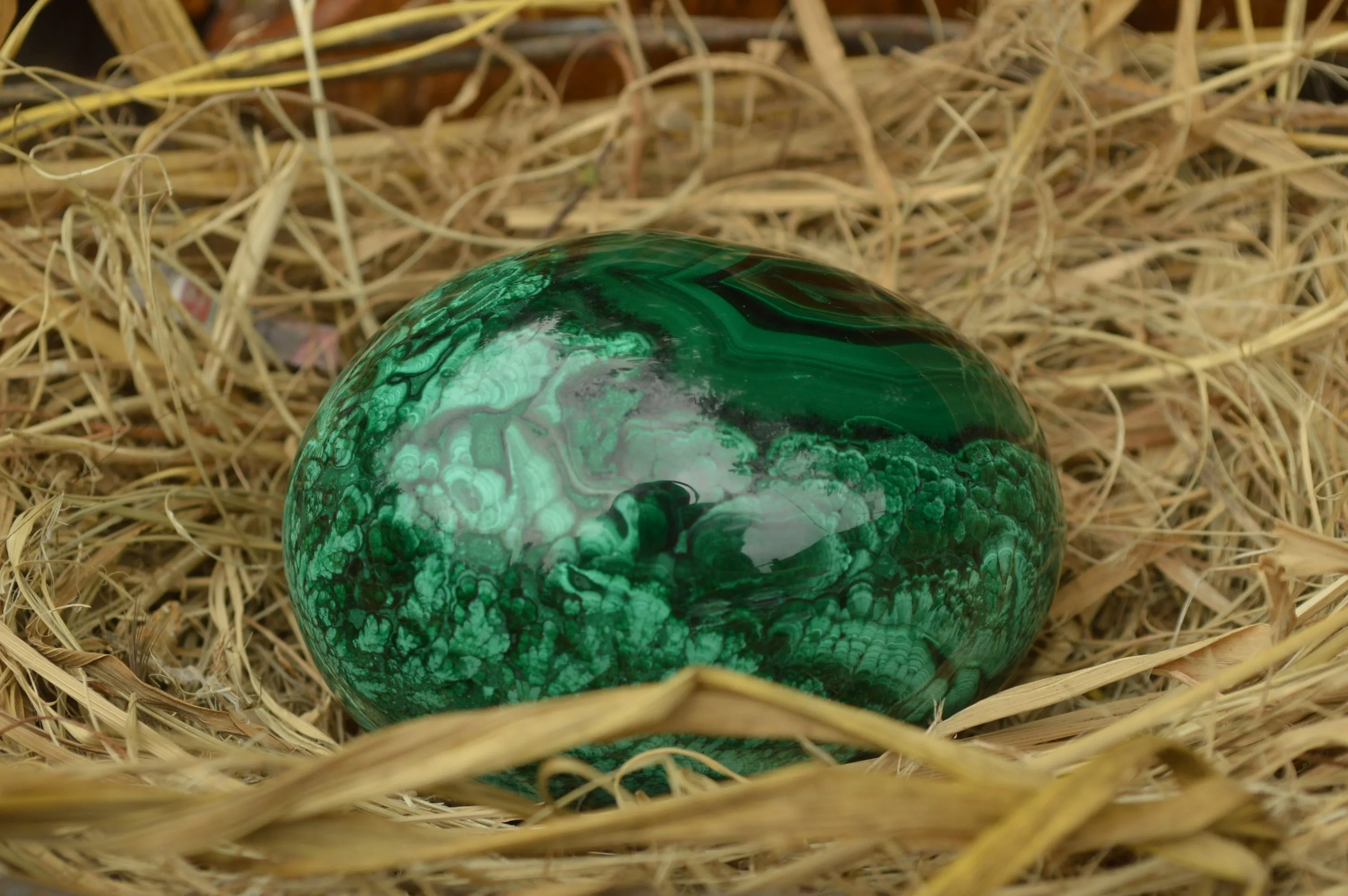 Polished Rare Flower Banded Malachite Eggs x 2 From Congo