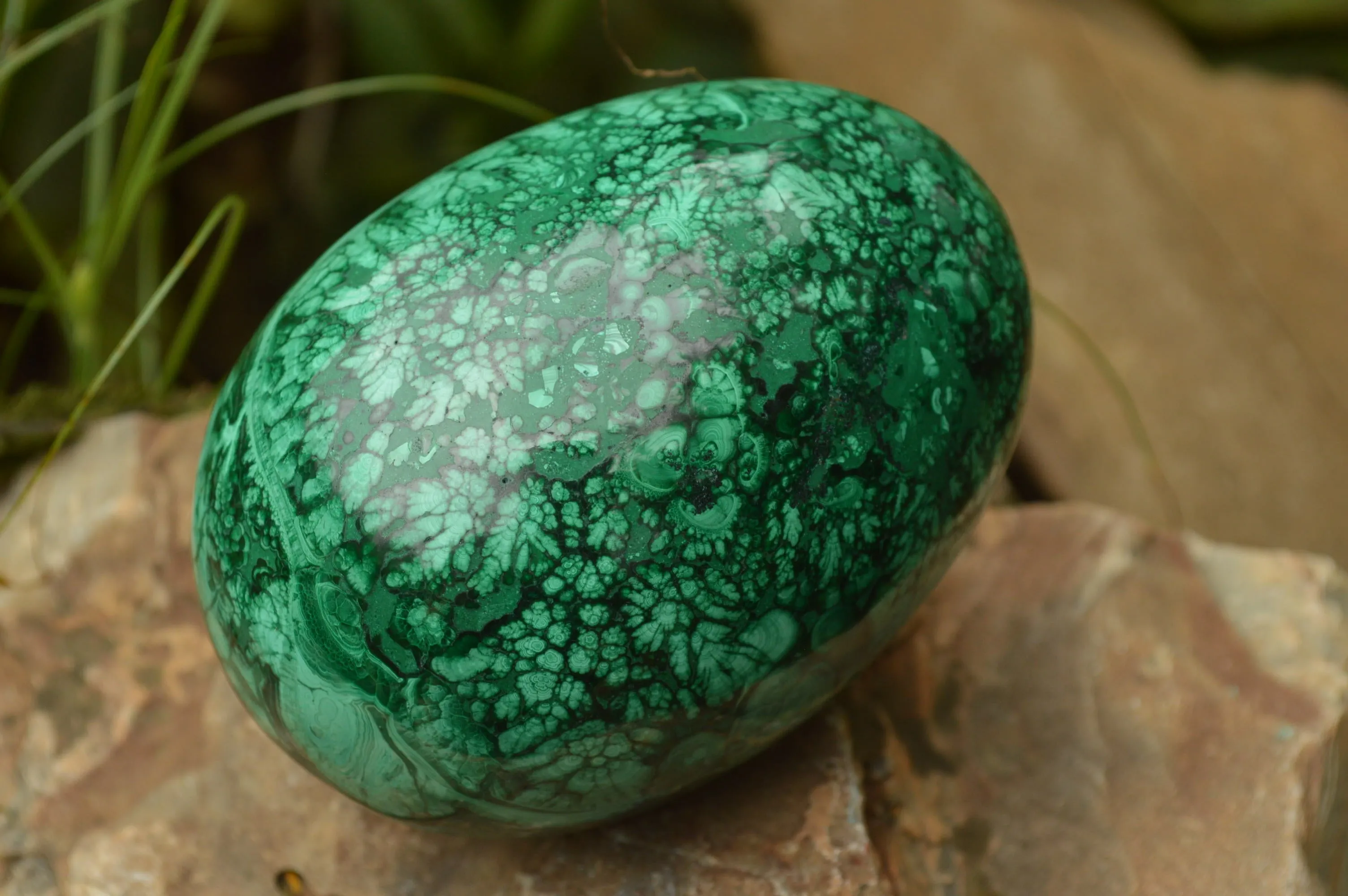 Polished Rare Flower Banded Malachite Eggs x 2 From Congo