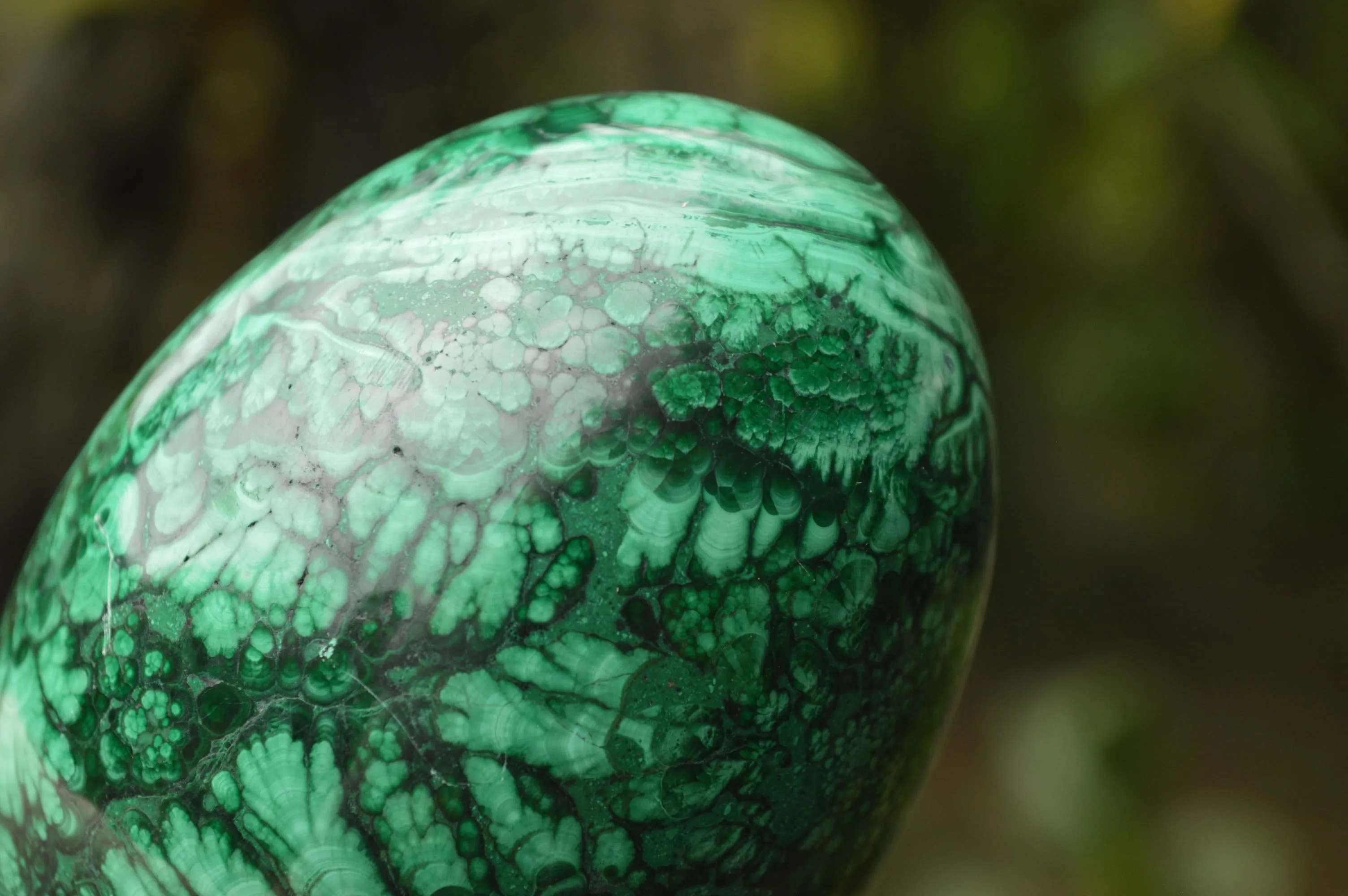 Polished Rare Flower Banded Malachite Eggs x 2 From Congo