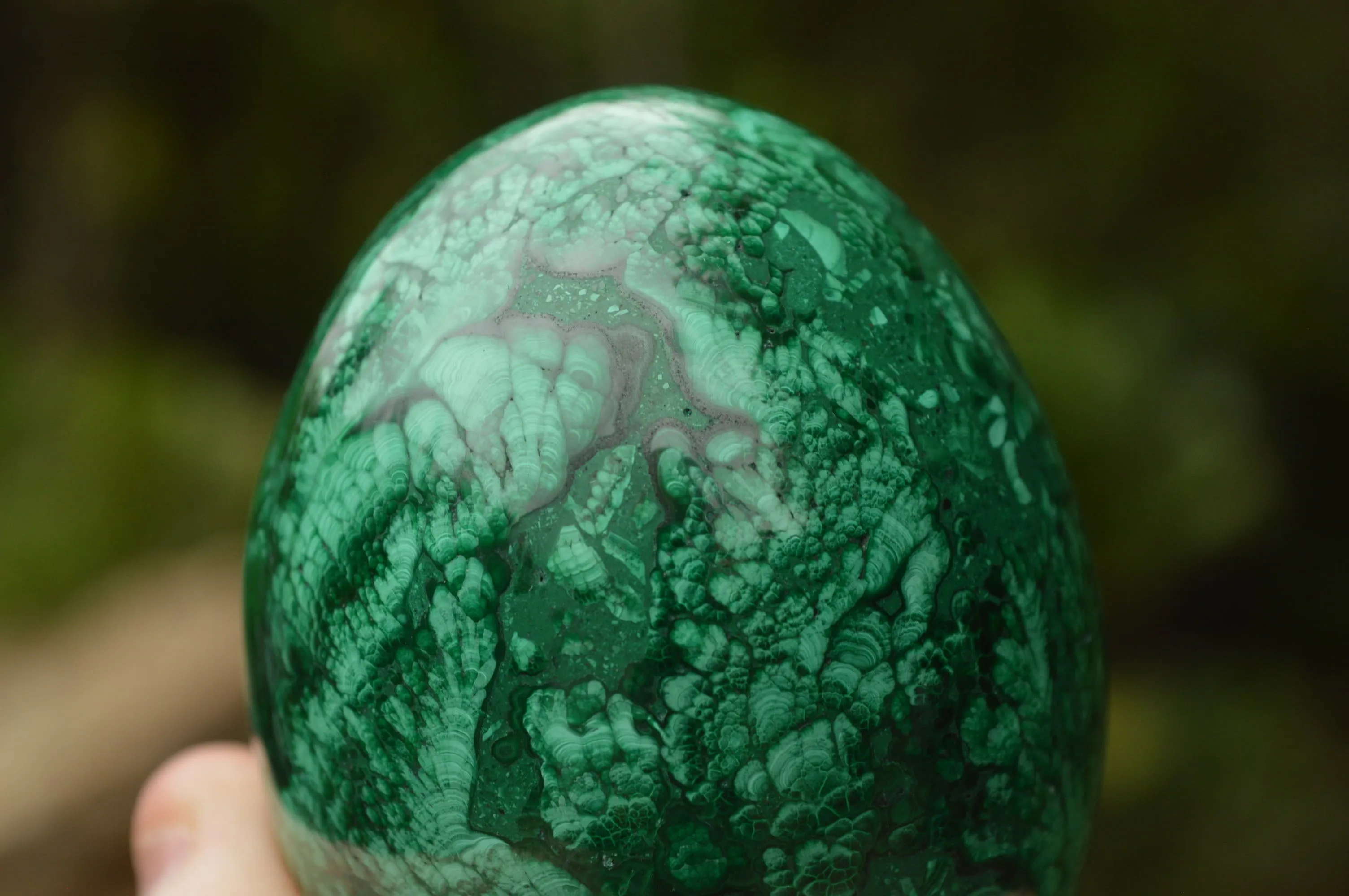 Polished Rare Flower Banded Malachite Eggs x 2 From Congo