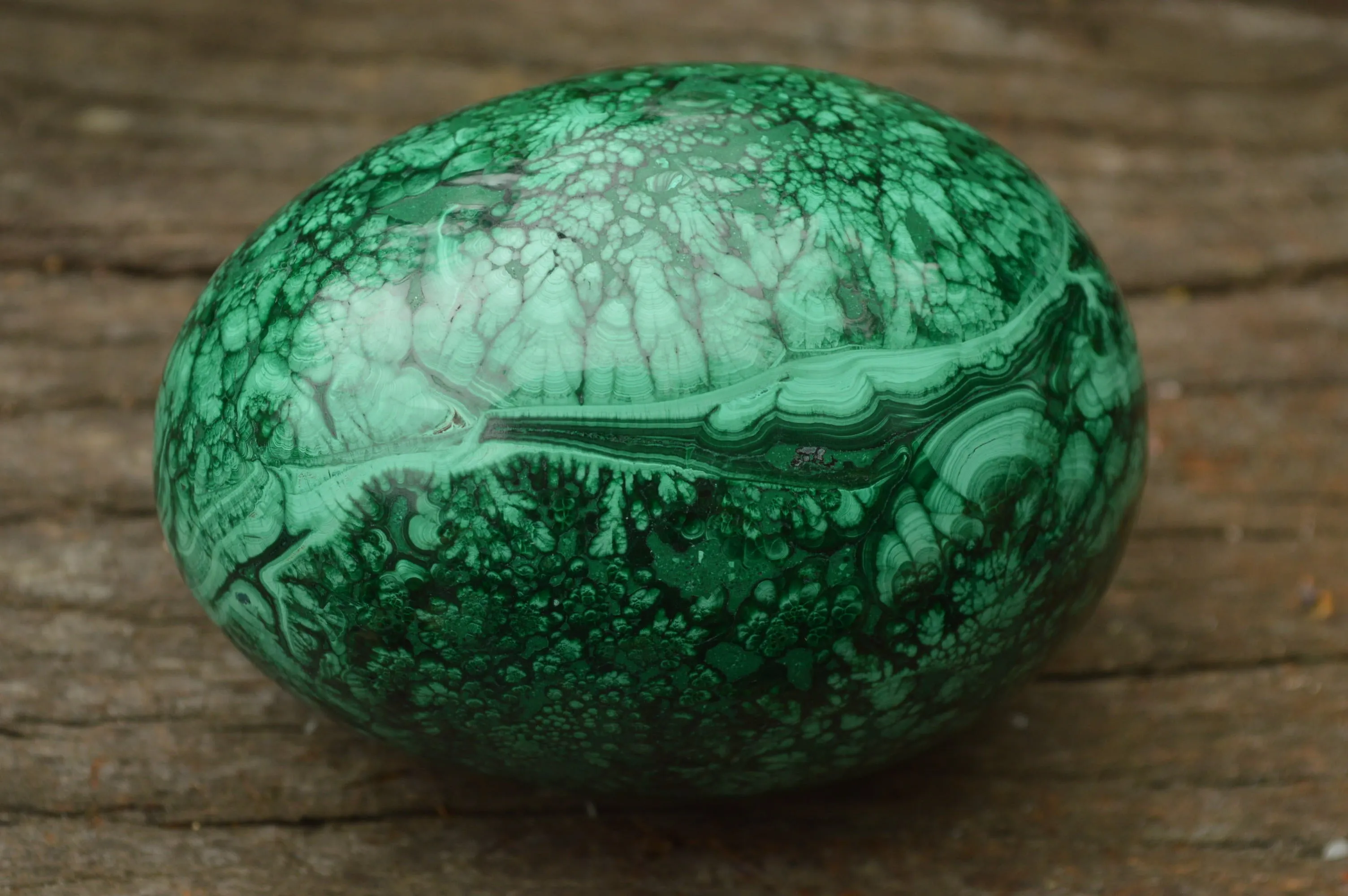 Polished Rare Flower Banded Malachite Eggs x 2 From Congo