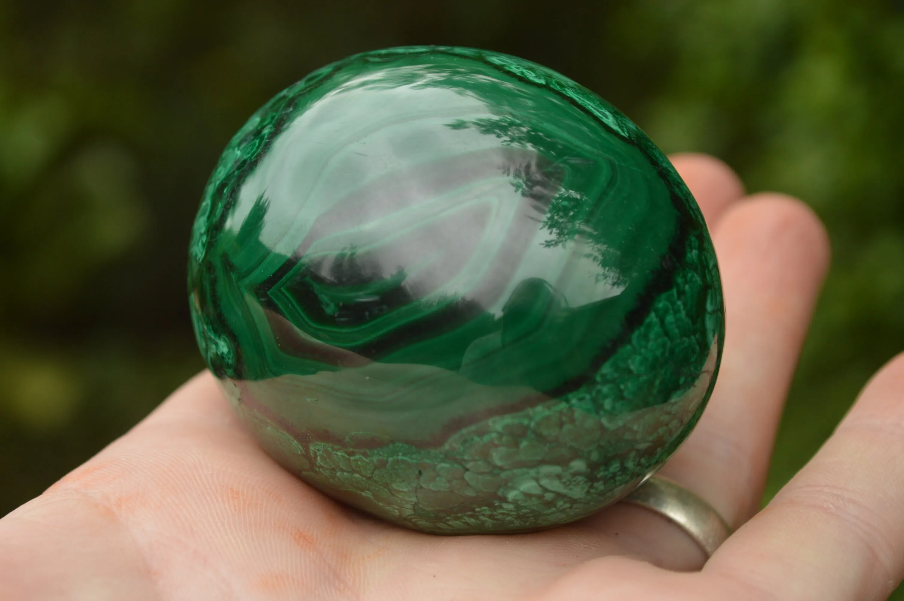 Polished Rare Flower Banded Malachite Eggs x 2 From Congo