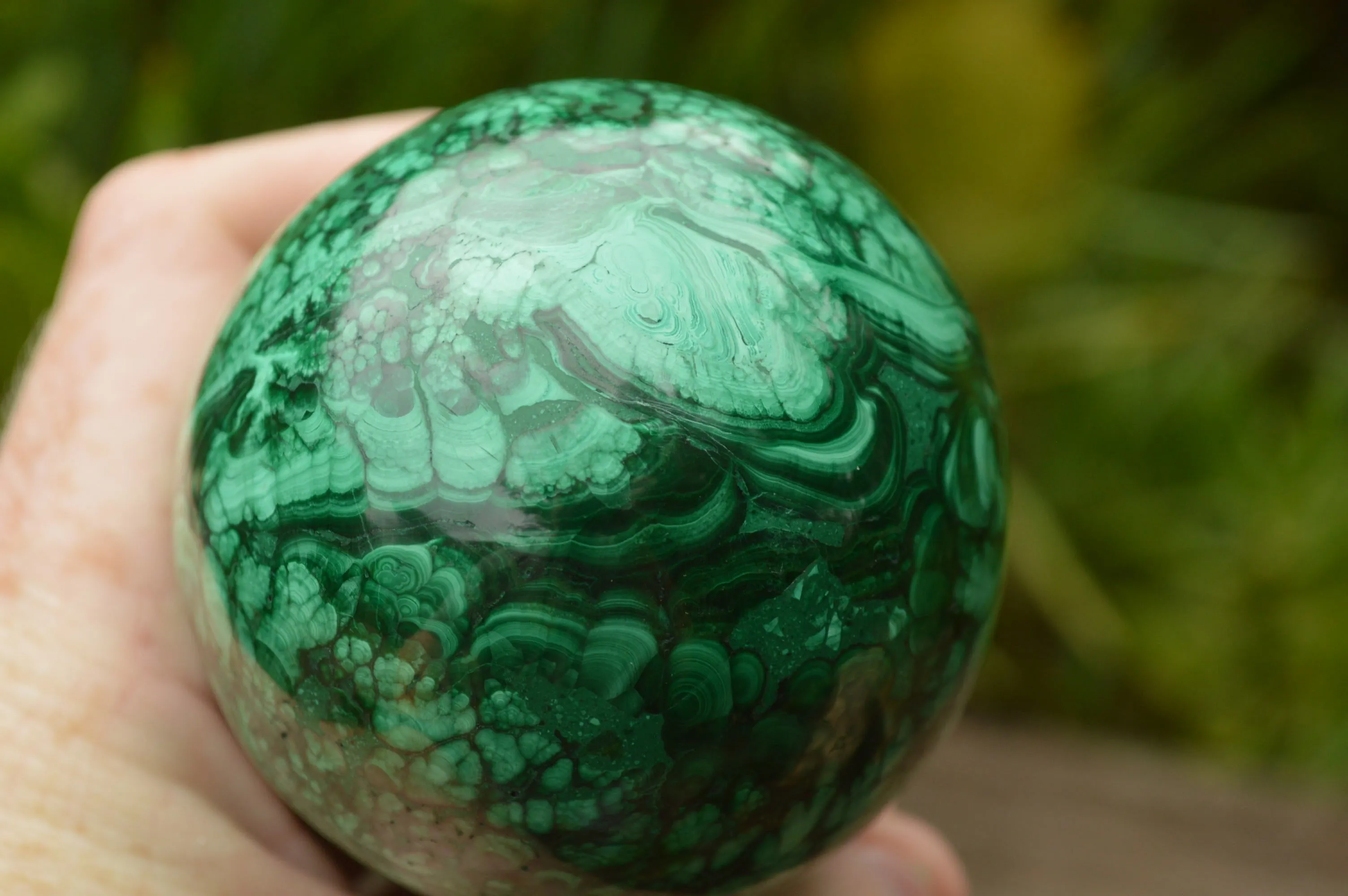 Polished Rare Flower Banded Malachite Eggs x 2 From Congo